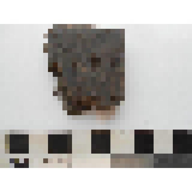 Археология. Фрагмент венчика сосуда, орнаментированный двумя рядами каплевидных наколов.  Венчик округлый