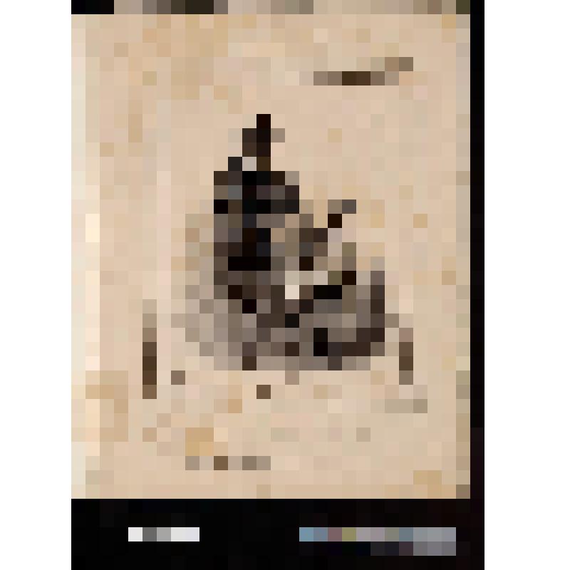 Лист из серии «Les enfans terribles»: Мужчина, держащий цилиндр, с мальчиком