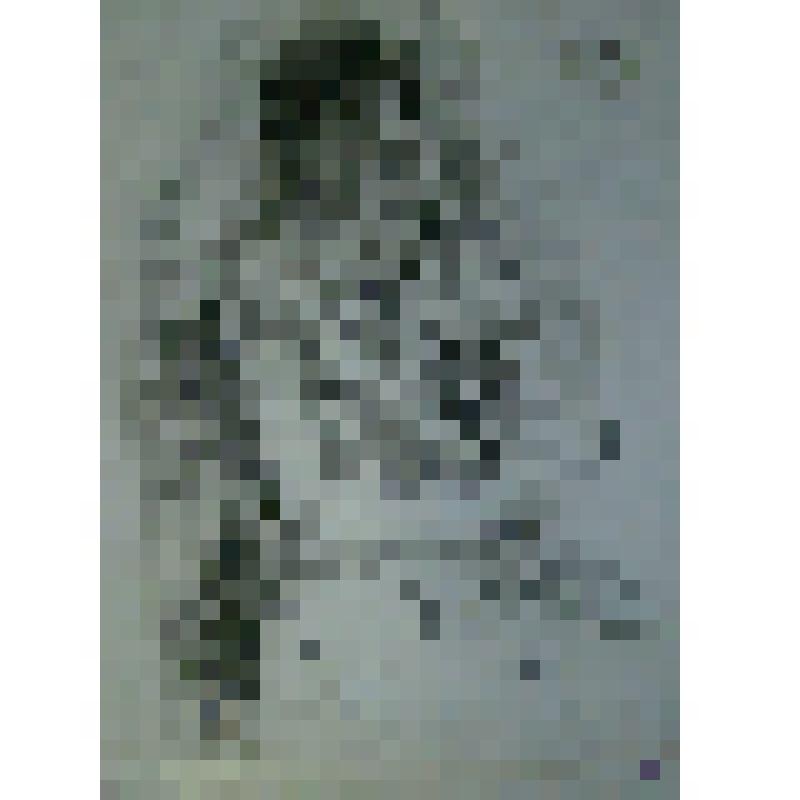 Обратно пасьянс