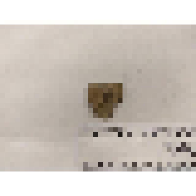 Обломок керамики с зубчатым орнаментом. Разбойничий остров