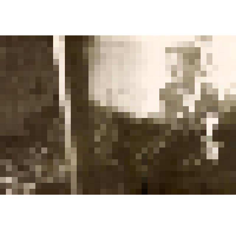 Фотография. Шемякина Клара Георгиевна, ковровщица Ялуторовской артели инвалидов имени Куйбышева за работой