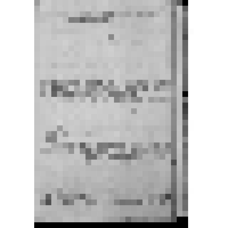 КОПИЯ РАПОРТА