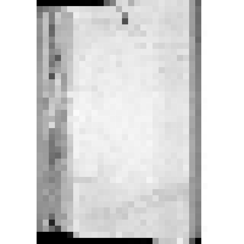 КОПИЯ РАПОРТА