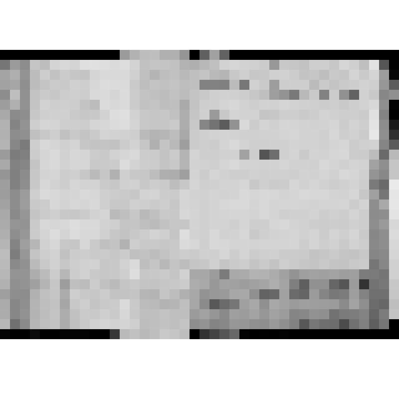 КОПИЯ РАПОРТА