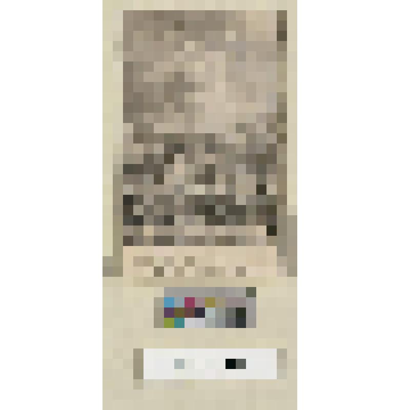 Историческая сцена. Праздник Федерации в Париже 14 июля 1790 г. "Confederation des Francois. Le 14 Juillet 1790"