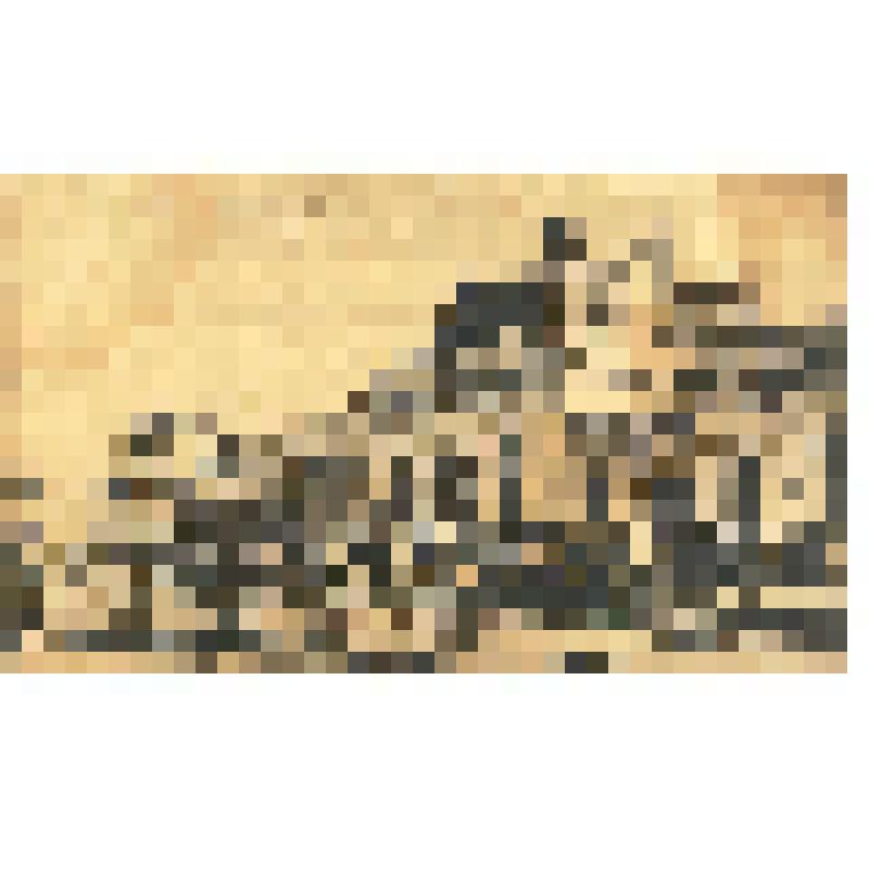 Почтовая карточка. "Сызрань. Вокзал железной дороги"