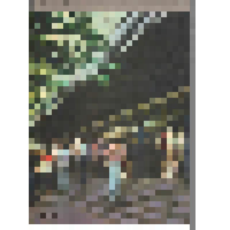 Журнал. Ровесник: общественно-политический и литературно-художественный журнал ЦК ВЛКСМ и комитета молодежных организаций СССР. №8. Август, 1975 год. – М.: Типография изд-ва ЦК ВЛКСМ «Молодая гвардия». -
24 стр. Обложка издательская.
Тираж 470 000 экз