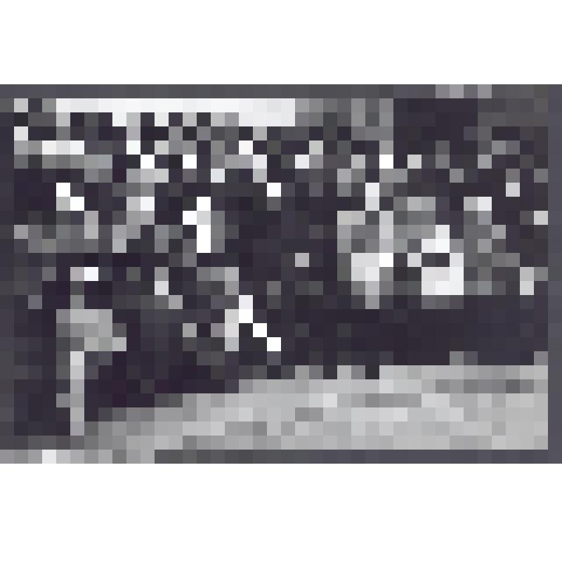 Фотография (групповая), сделанная в актовом зале музея-диорамы в 1994 году