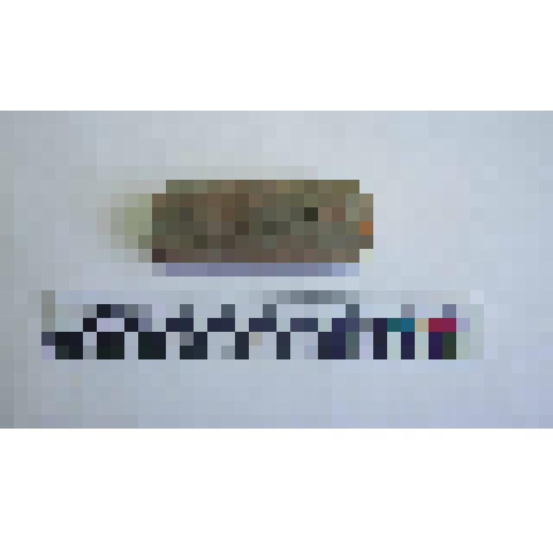 Ручка амфоры типа Зеест 77