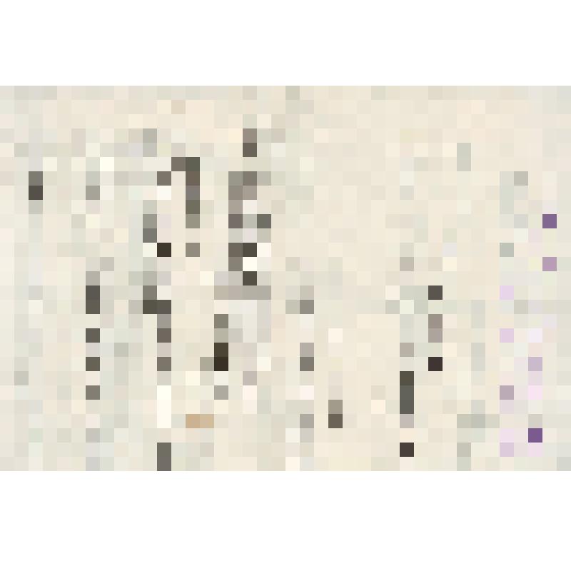 Приказ № 54 Наркома черной металлургии СССР об освоении хромансилевых профилей на Гурьевском заводе и премировании рабочих Кузнецкого металлургического комбината имени Сталина