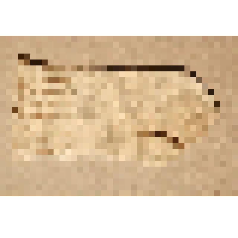 Рукавичка детская (правая)