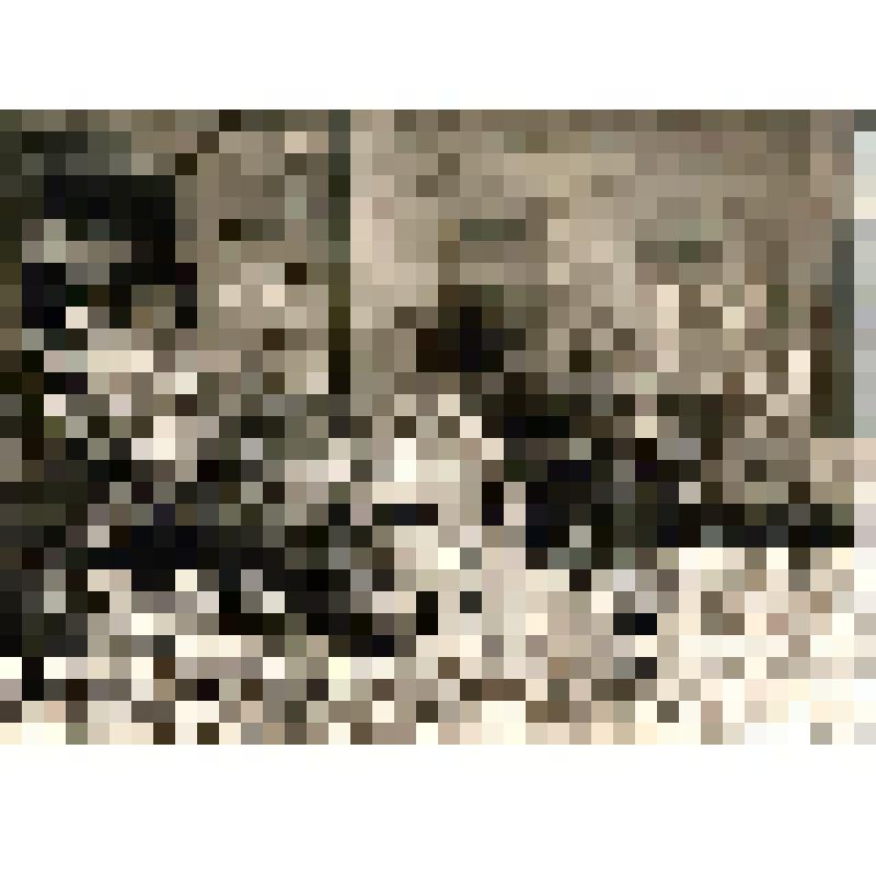 Фотография черно- белая  Алевтины Ивановны Трубниковой и ее мужа Егорова А