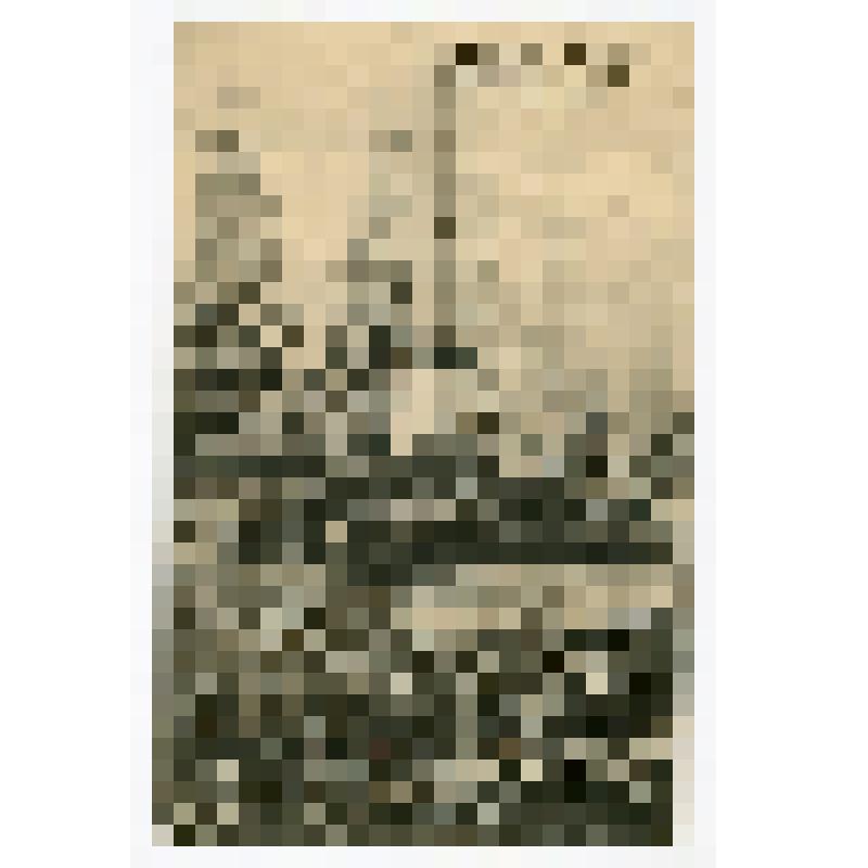 Открытое письмо "Гатчина. Памятник в парке"