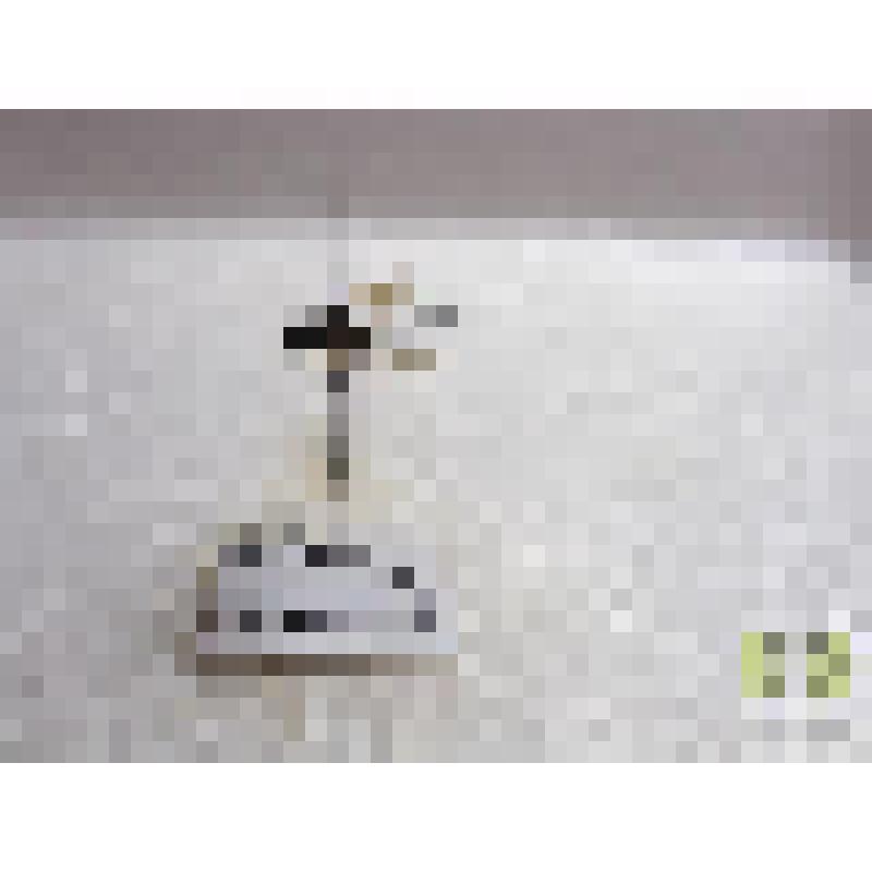 Ястребница шведская (Dioctria oelandica L)