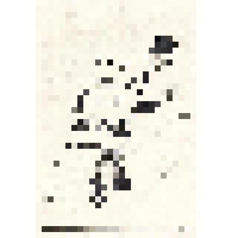 Экслибрис "Ex Libris E.N. Minaew"
