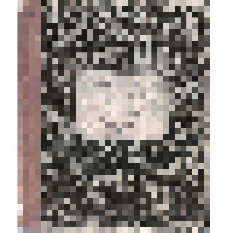 Книга для записывания судорабочих чердынского купца Г.П.Гусева на 1894 г