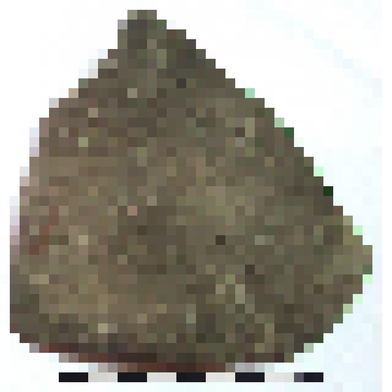 Фрагмент нижней части горла с частью плеча амфоры типа D с дипинти