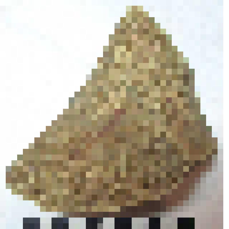 Фрагмент нижней части горла с частью плеча амфоры типа D с дипинто