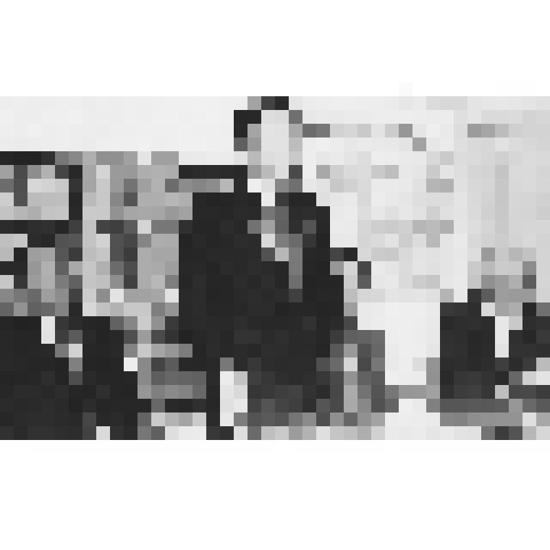 Фотография. Тряпицын Владимир Федорович на собрании