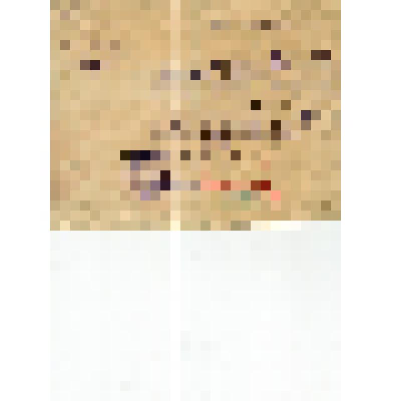 Удостоверение N1528 Удалова А.И., члена Президиума Медынского уездного исполкома