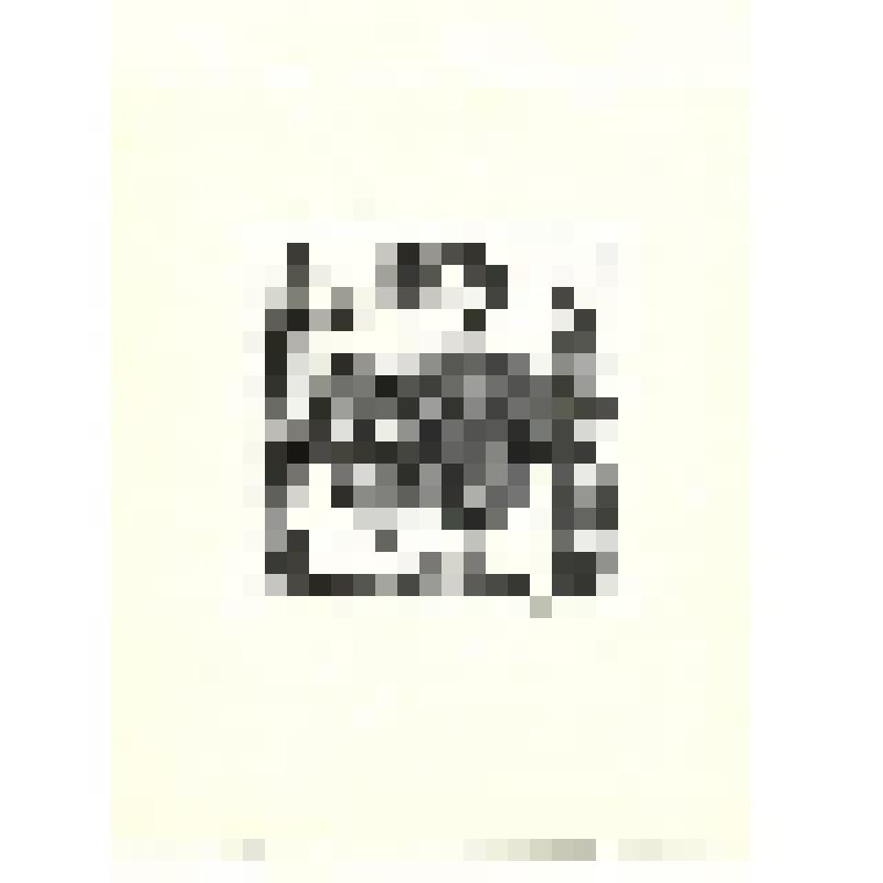 Иллюстрация к повести Кассиля Л.А. "Кондуит и Швамбрания". Графика