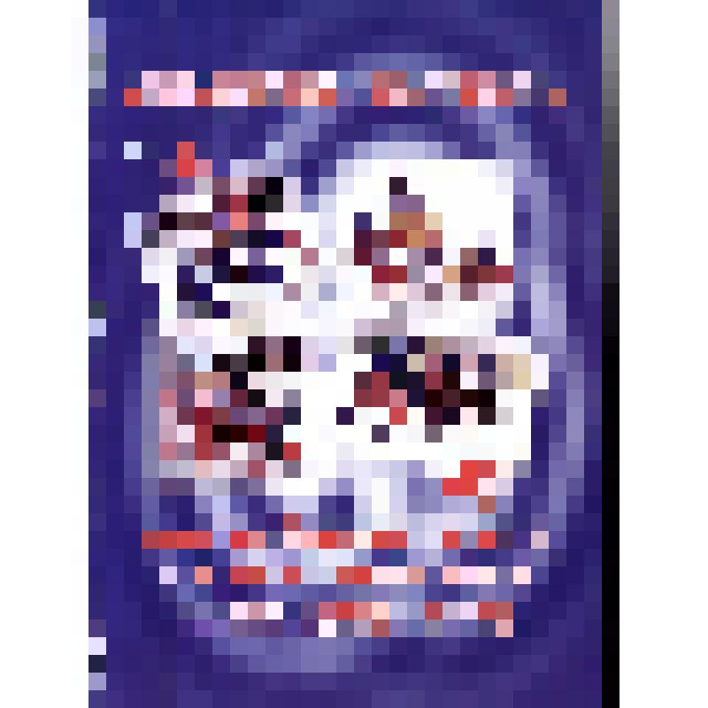 Справочник. Справочник-календарь "Хоккей с мячом. XII чемпионат России. 2003-2004 гг."