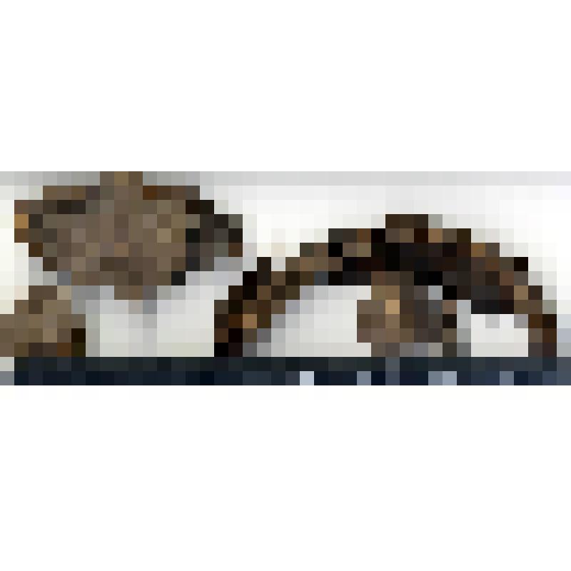 Днище туеска