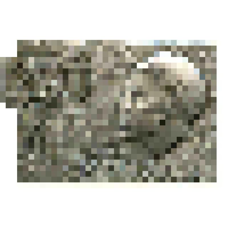 Значок. Сковорода Григорий. 250 лет со дня рождения, на булавке. СССР