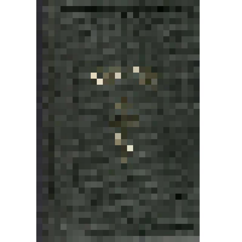 Книга. Святое Евангелие господа нашего Иисуса Христа от Матфея, Марка, Луки и Иоанна [Текст] : [Копия Синодального издания Евангелия 1896 г. с пометами Л.Н. Толстого]. - Япония, [Конец 1990-х г.]. - 322 с