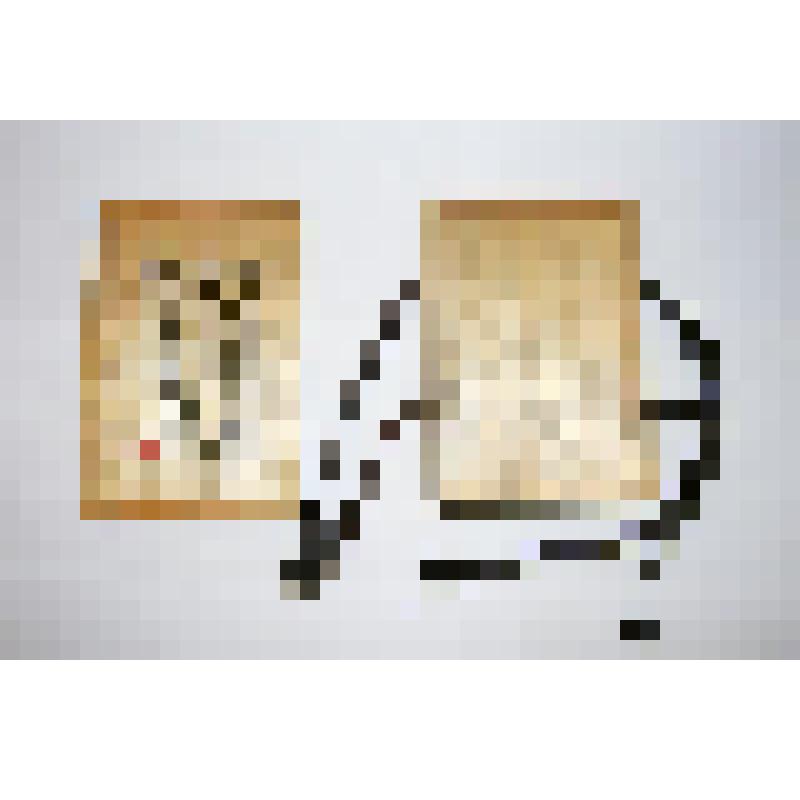 Книга. Святое Евангелие господа нашего Иисуса Христа от Матфея, Марка, Луки и Иоанна [Текст] : [Копия Синодального издания Евангелия 1896 г. с пометами Л.Н. Толстого]. - Япония, [Конец 1990-х г.]. - 322 с