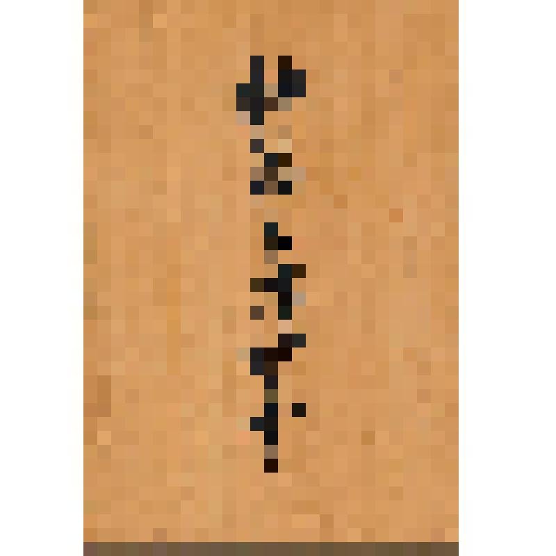 Книга. Святое Евангелие господа нашего Иисуса Христа от Матфея, Марка, Луки и Иоанна [Текст] : [Копия Синодального издания Евангелия 1896 г. с пометами Л.Н. Толстого]. - Япония, [Конец 1990-х г.]. - 322 с