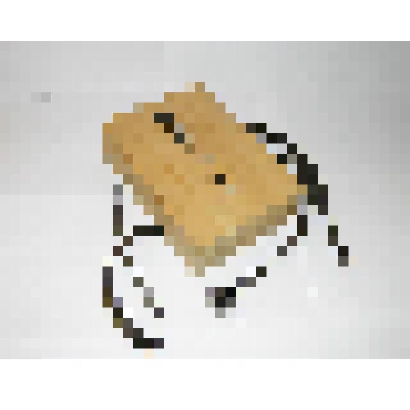 Книга. Святое Евангелие господа нашего Иисуса Христа от Матфея, Марка, Луки и Иоанна [Текст] : [Копия Синодального издания Евангелия 1896 г. с пометами Л.Н. Толстого]. - Япония, [Конец 1990-х г.]. - 322 с