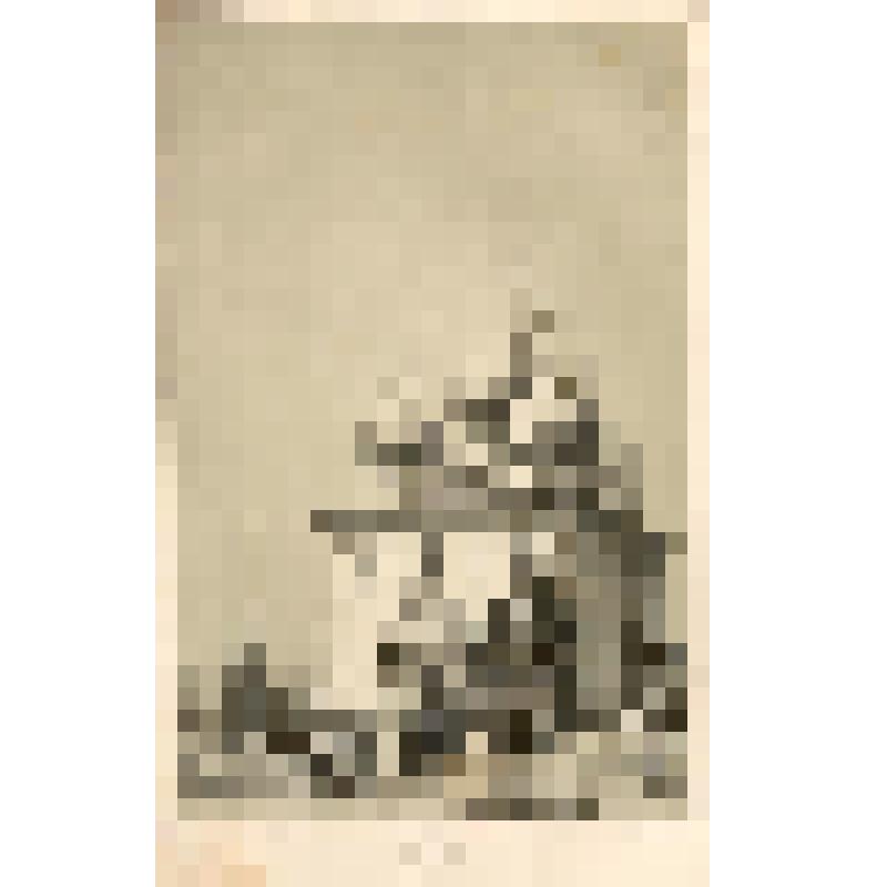 Литография. "Троицкий монастырь. Московская губерния. Собор Богоматери и Архангельский собор"