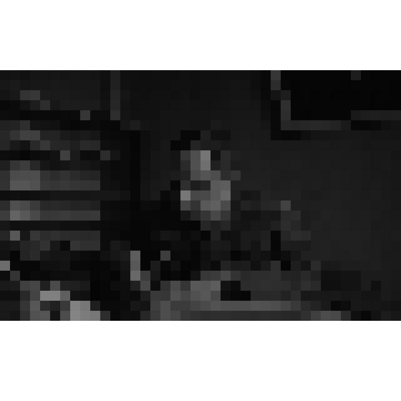 Фотонегатив. Космонавт Горбатко Виктор Васильевич в Волгодонске