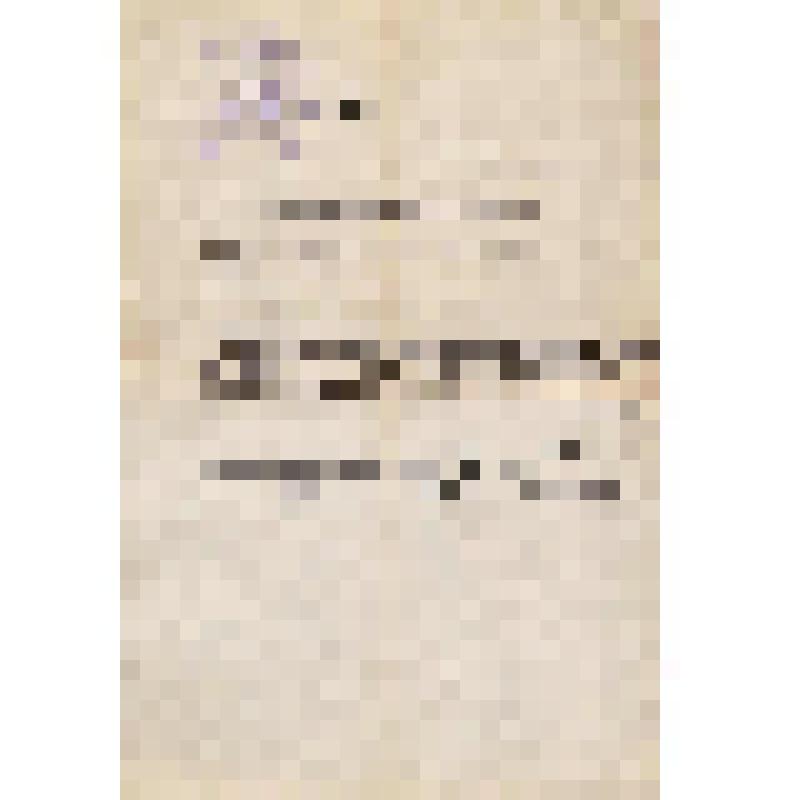 Документ. Письмо от  Семенюк И.И., из Одесского художественного музея  Князевой В.П., от 01.09.1975 г
