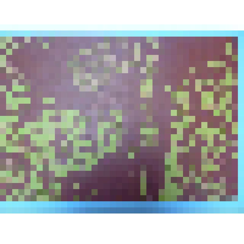 Плакат. "КПСС"