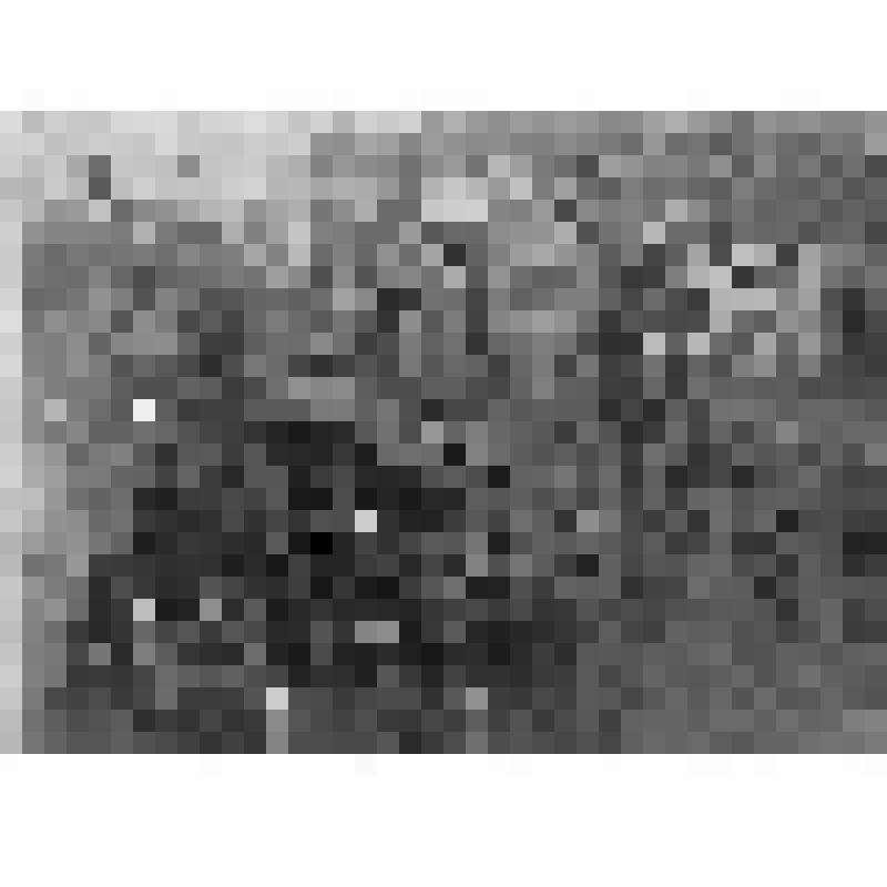 Обоз с ранеными на улице города Сувалки