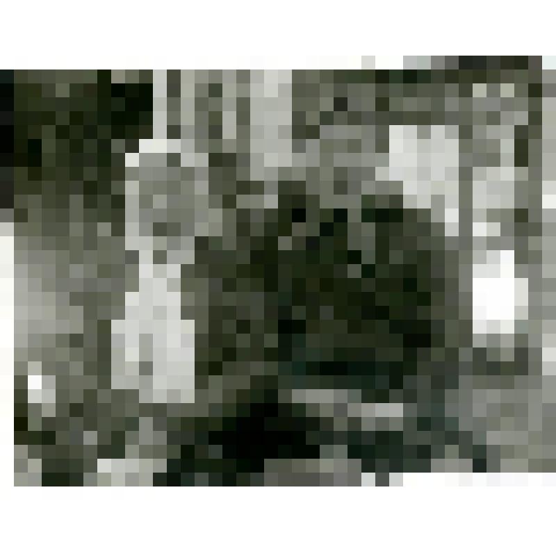 Фотография. Типы тунгусок в уроч. Няльгя