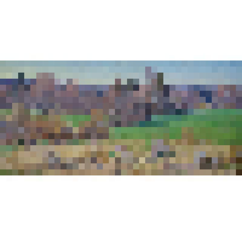 Первые всходы