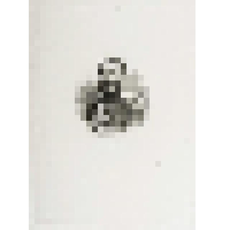 Портрет П.К. Услара