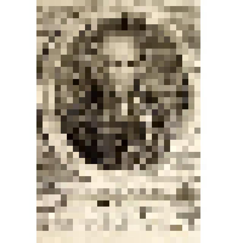 Jean Le Beuf. (Жан Лё Бёф.) - гравюра из книги: Recueil des portraits des hommes illustres. T. VIII. (Сборник портретов знаменитых людей. T. VIII.) - на франц. яз