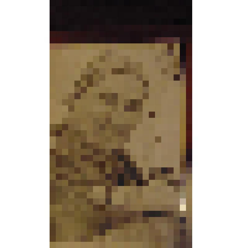 ФОТОГРАФИЯ ПЕРЕДОВОЙ ТЕЛЯТНИЦЫ КОРЫШЕВОЙ ДОЯРКИ