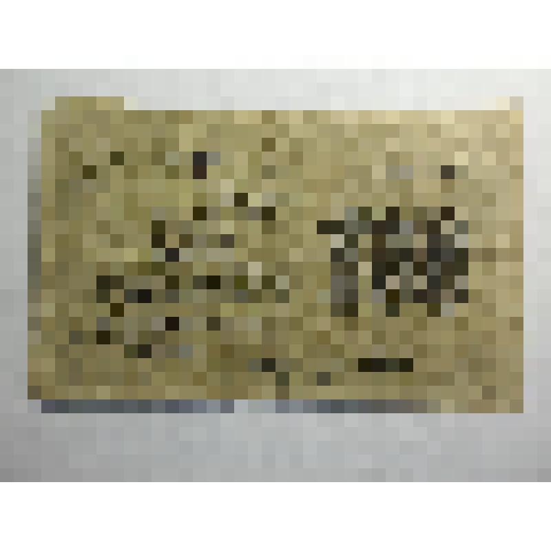 Расчетный знак РСФСР 100 рублей