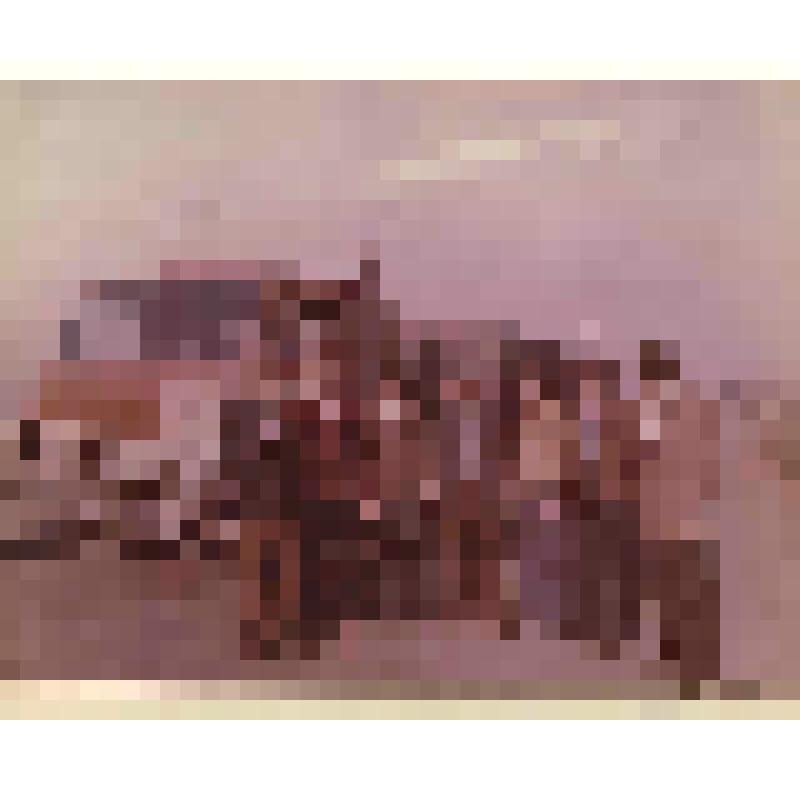 Фотография. Бригада ком. труда водителей Каменского АТП, бригадир Крезов Е.В