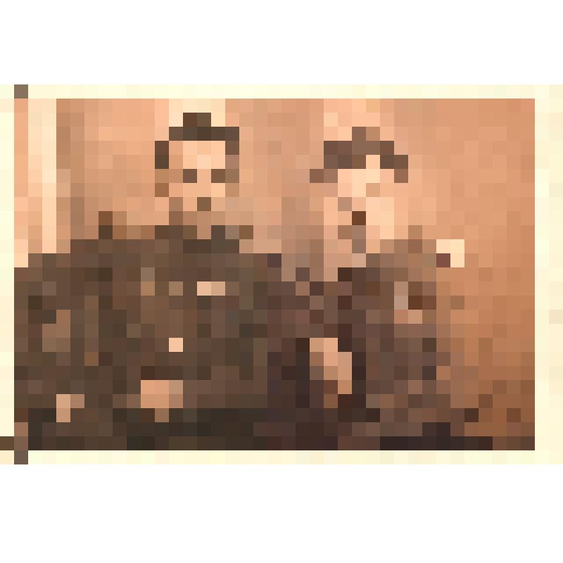 Фотография (двойной портрет) "Черченко Стефан Федорович с боевым другом"