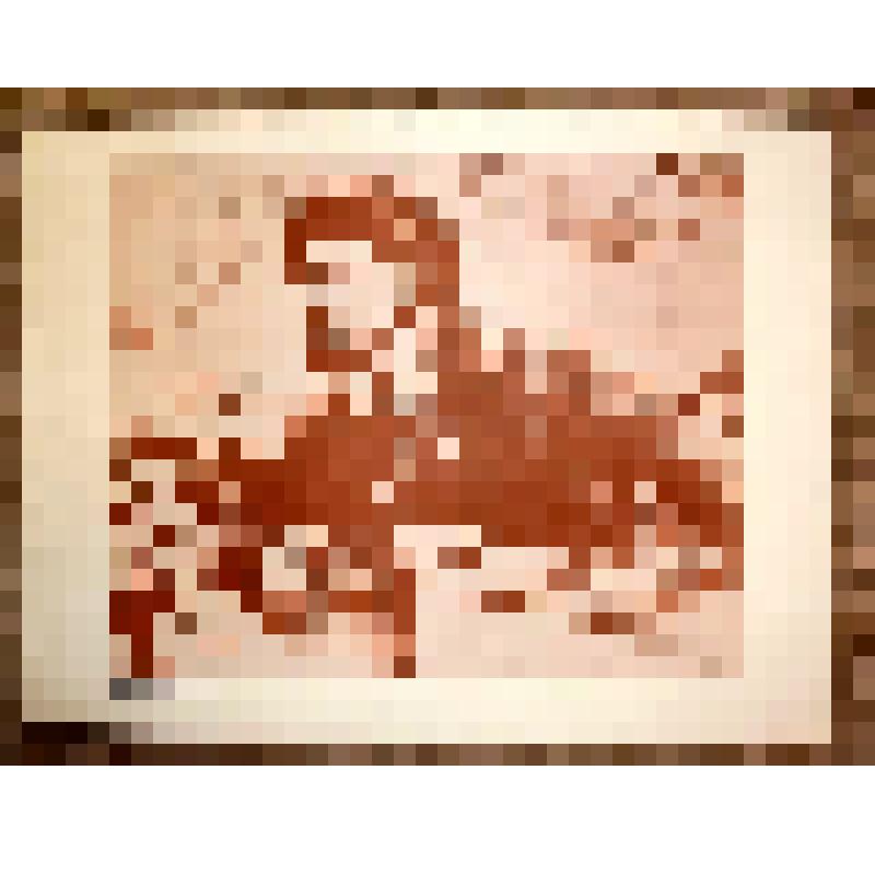 Репродукция с рисунка "Революция - вихрь"