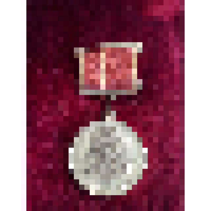 Медаль "За доблестный труд. В ознаменование 100-летия со дня рождения В.И.Ленина" Берз Дианы Давыдовны