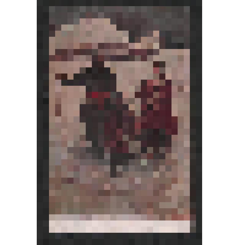 Открытка. В гости. № 88