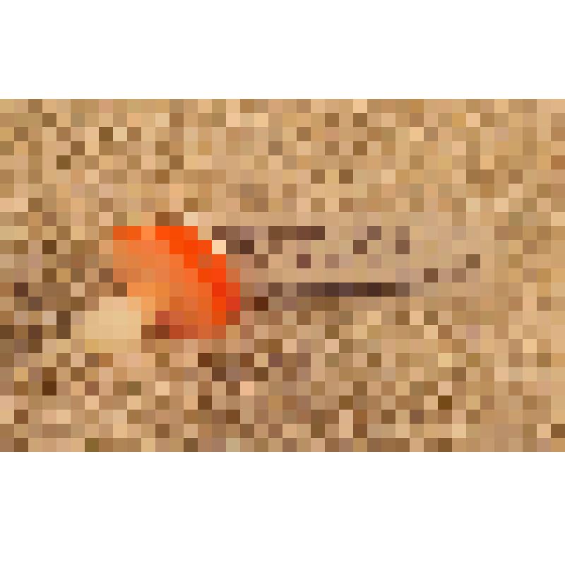 Игрушка елочная «Гриб» для искусственной мини-елки, из коллекции игрушек для искусственной мини-елки из наборов елочных украшений "Малютка"