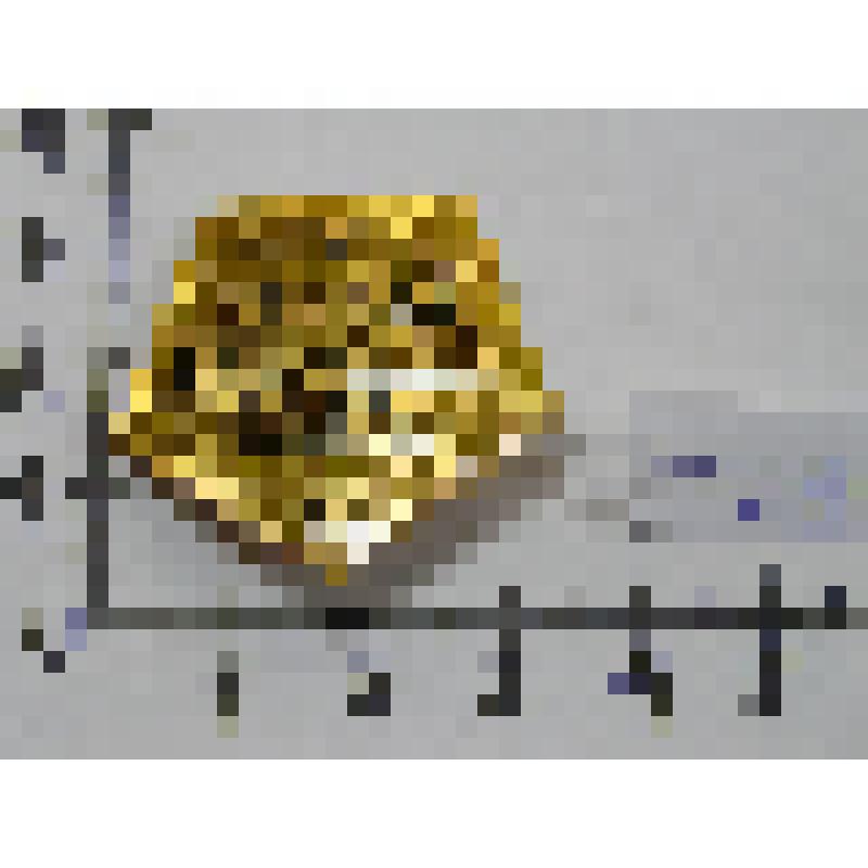 Значок сувенирный - советские исследования космоса